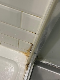 Ewww. And a short three minute shower left the basin overflowing with water.