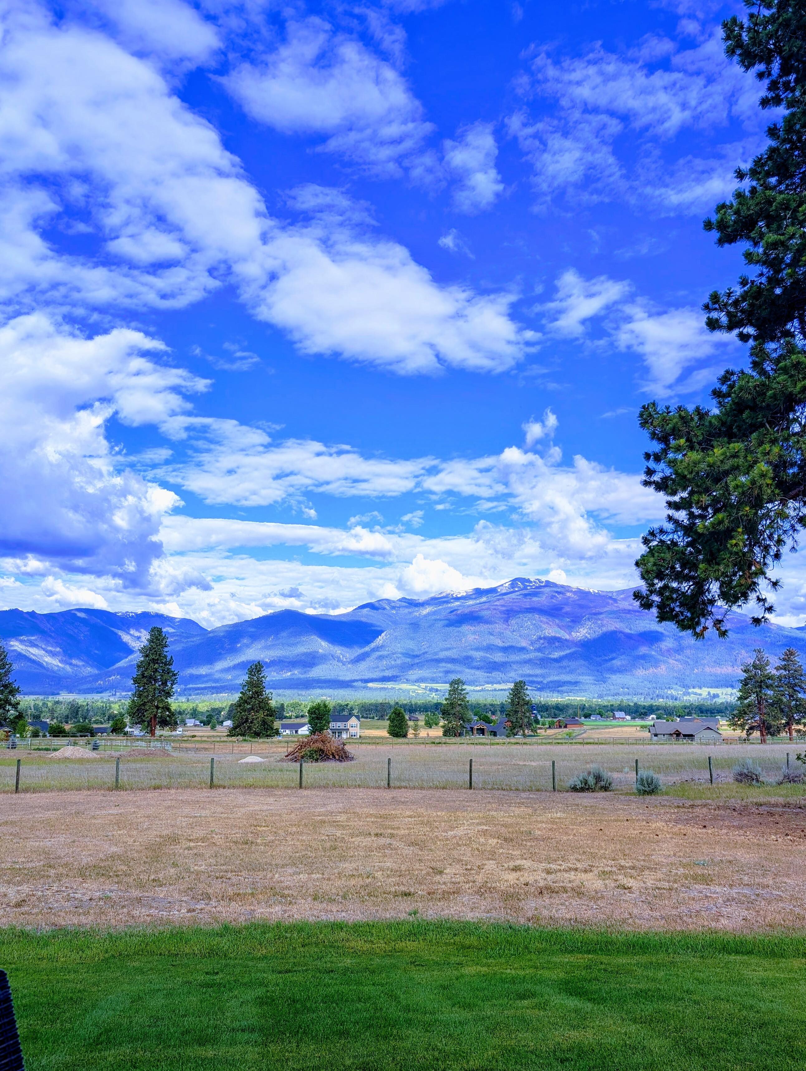 My coffee view as I sat on the porch one morning. 