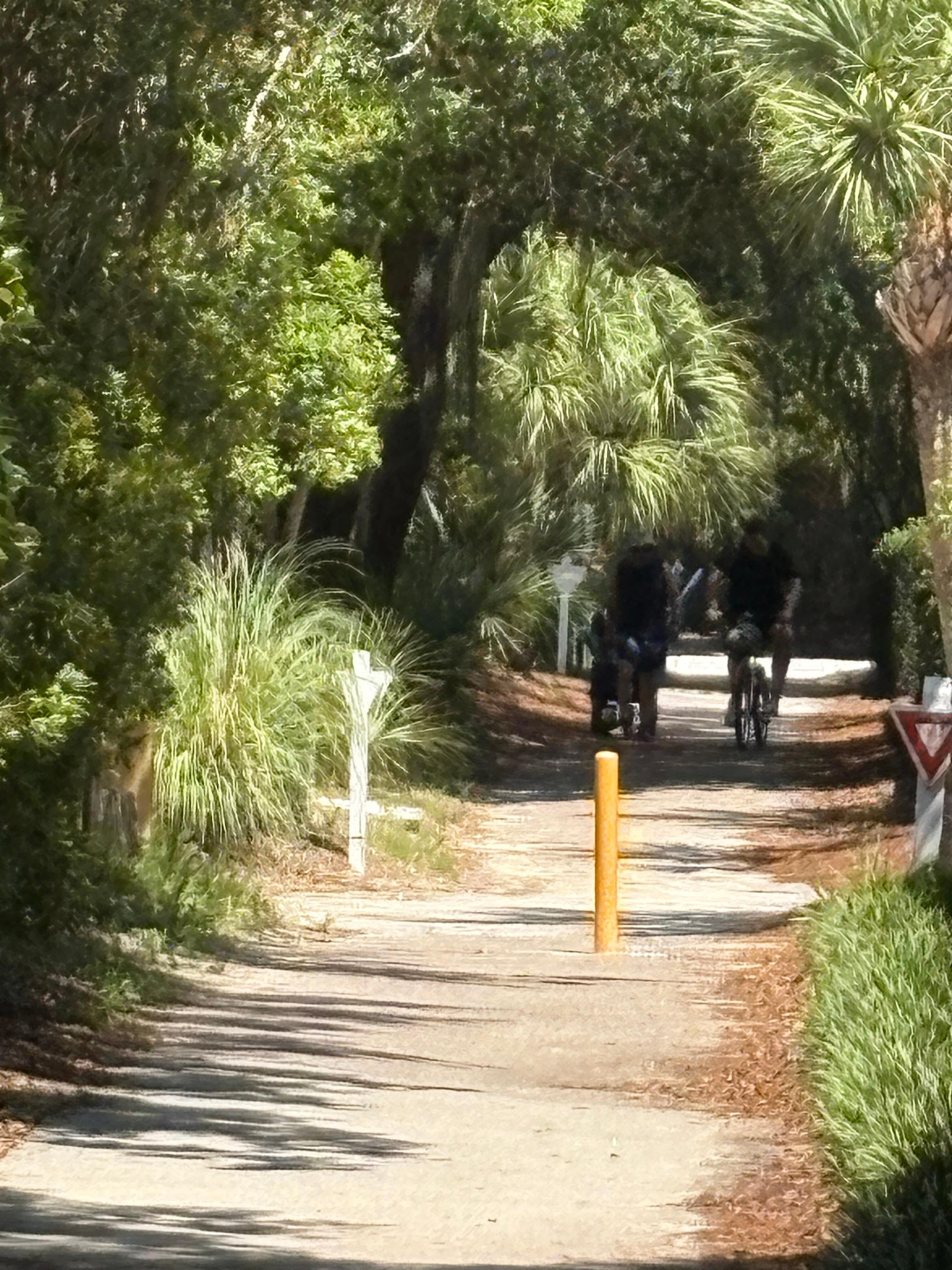 On way to Alder beach 