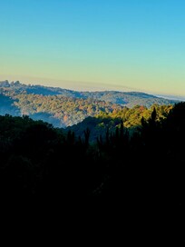 Colors got more intense by end of stay