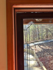 Spiderwebs everywhere!