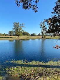 Lakeview