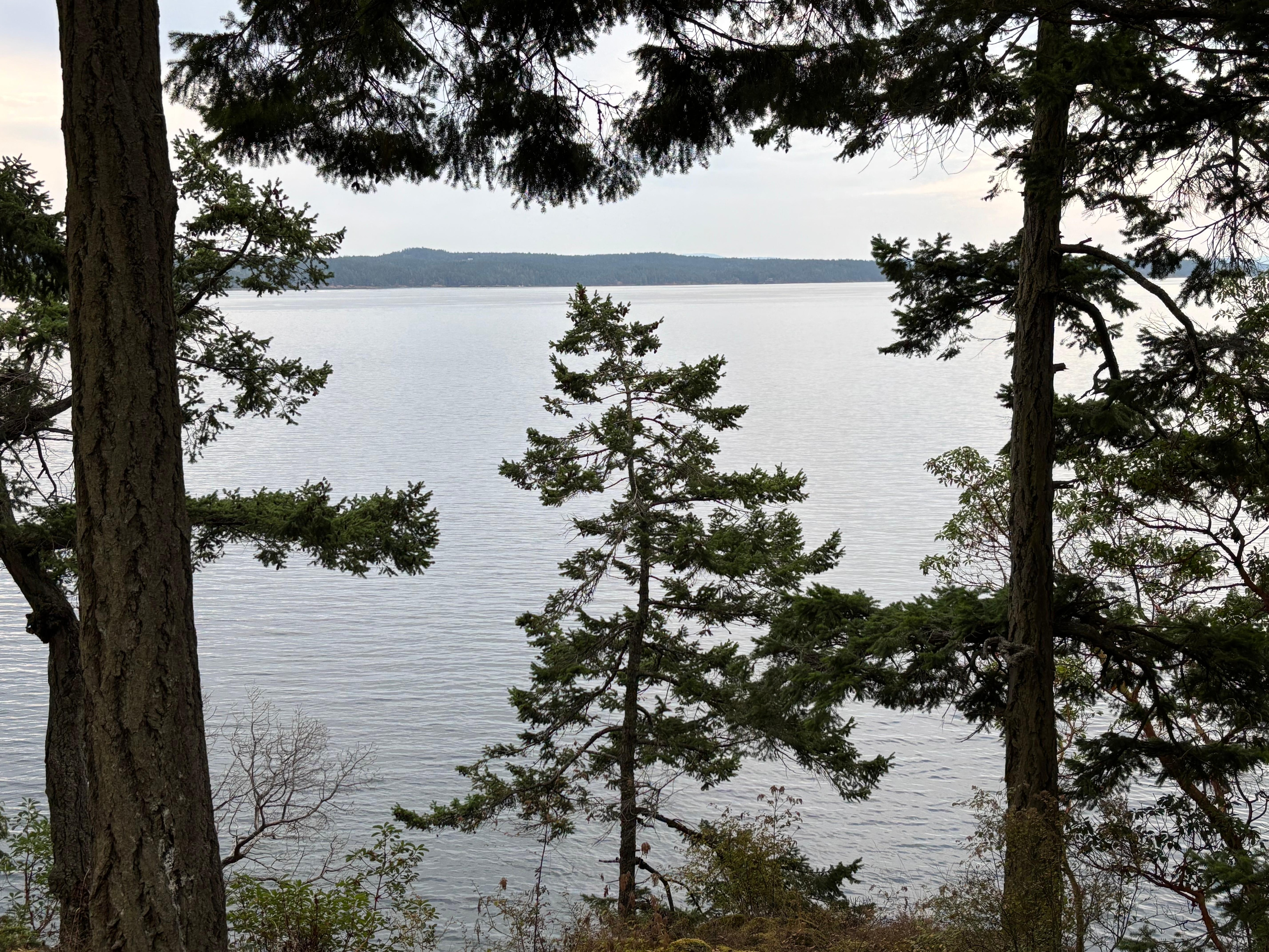 Picture from the back porch 