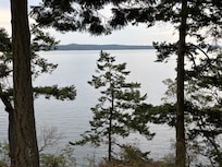 Picture from the back porch