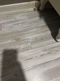Dirt under the bed
