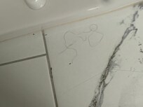 not my hair!