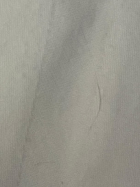 Hair on bedding- not mine