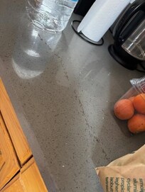Stream of ants running across kitchen counter