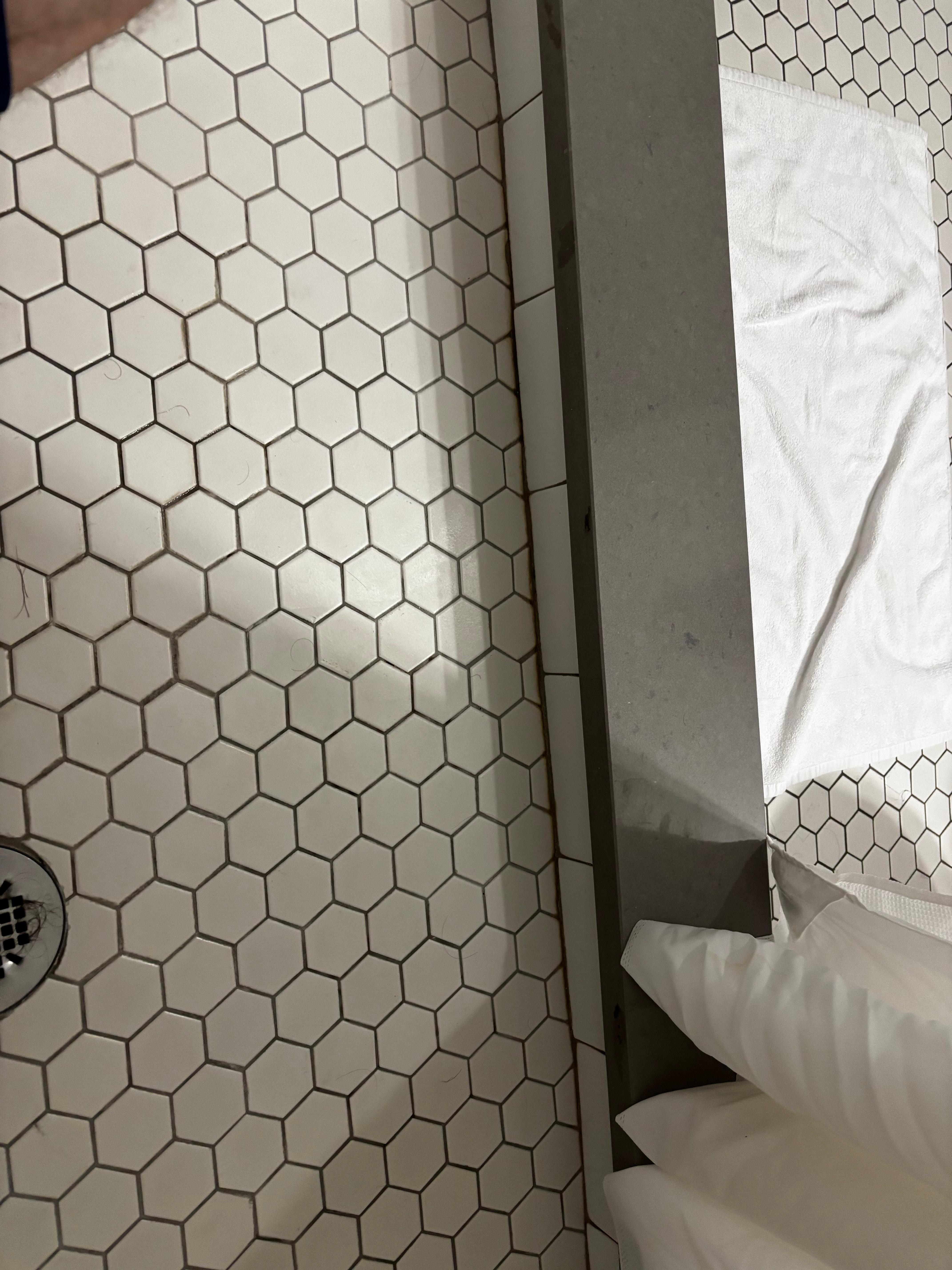 Moldy grout and silicone