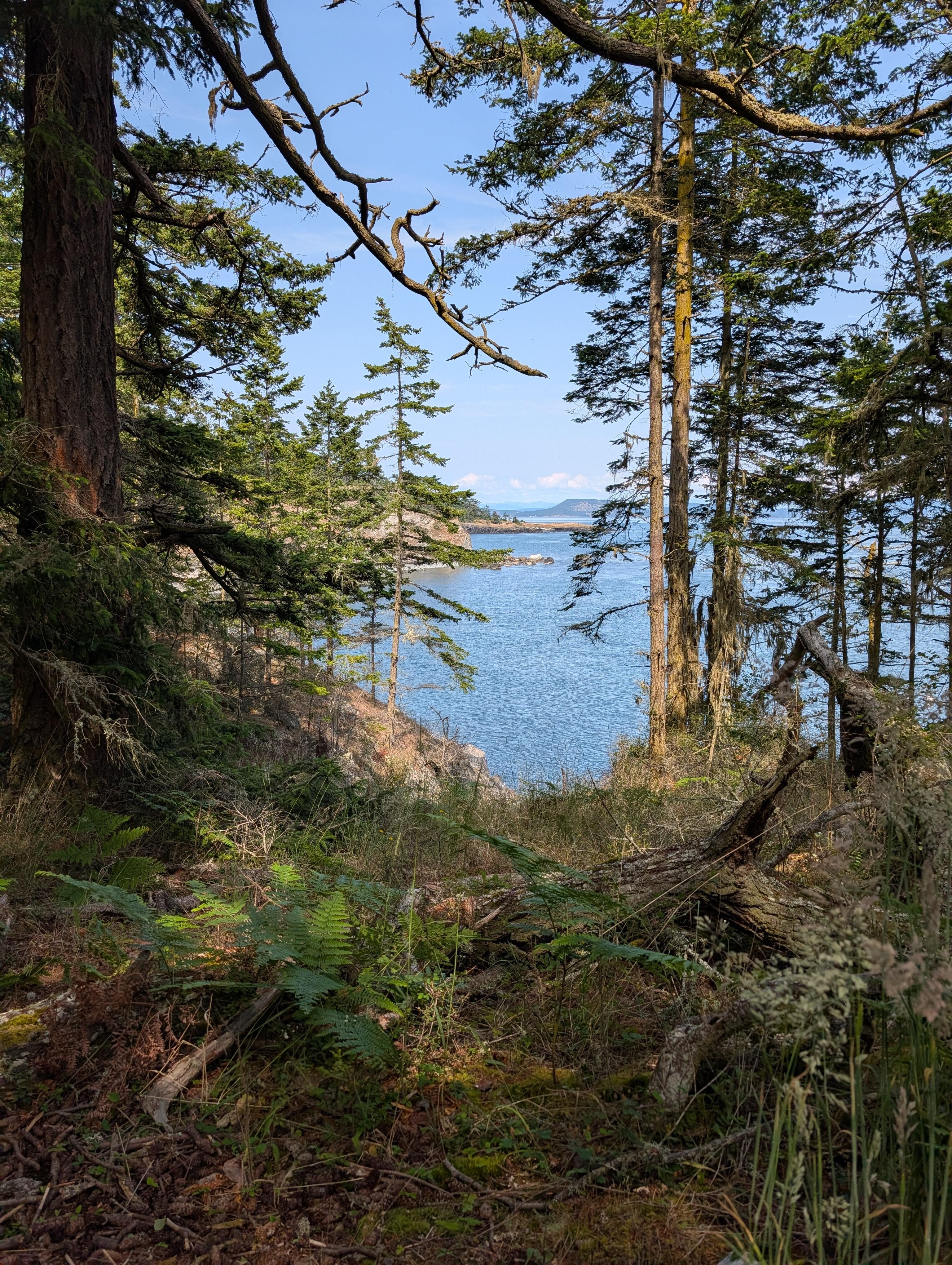 Gorgeous island views! Our host knew just where to send us!
