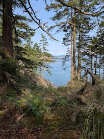 Gorgeous island views! Our host knew just where to send us!