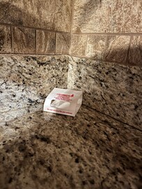 The bug trap on the kitchen counter that is working no bugs in there