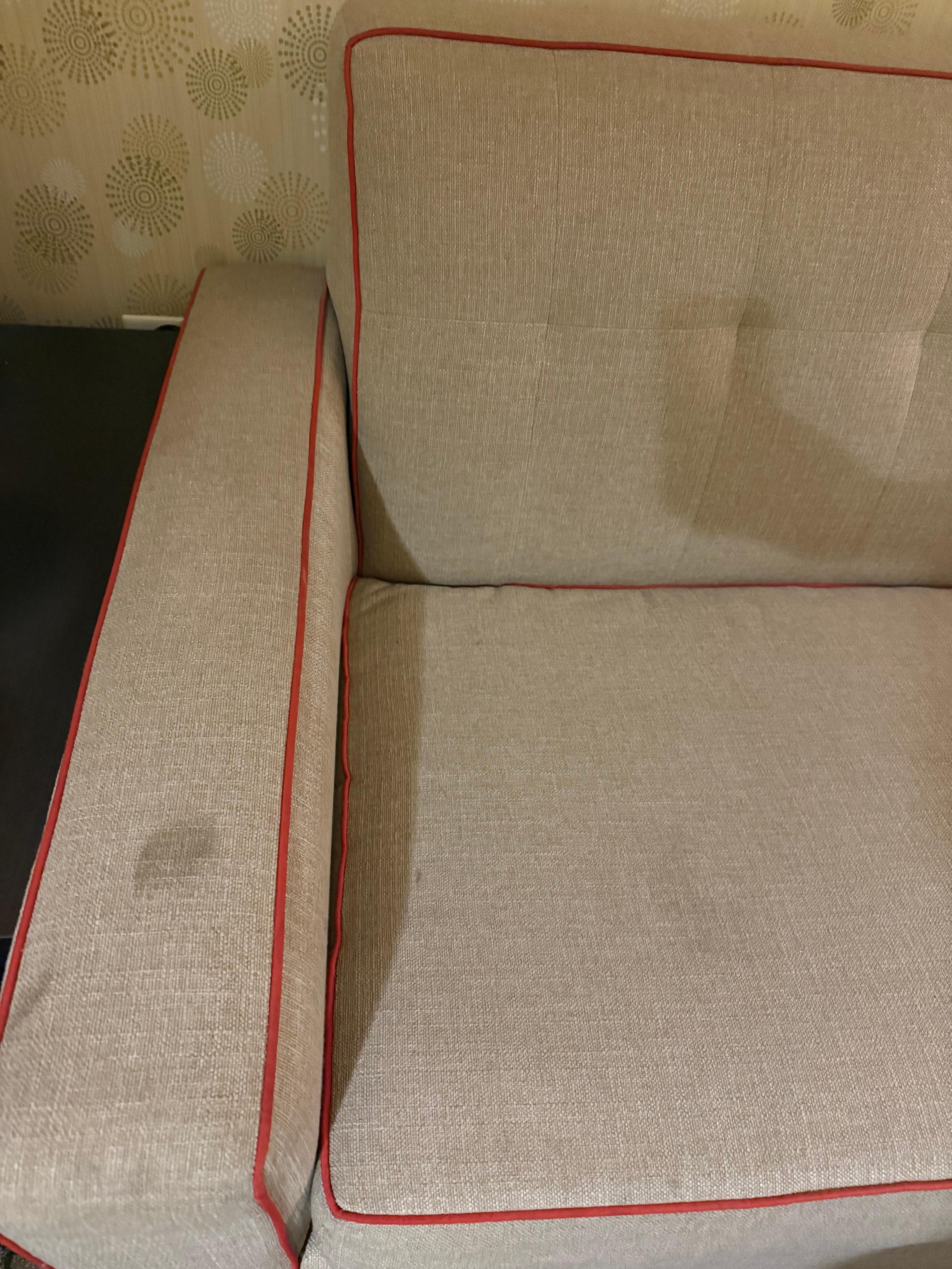 Stain disgusting couch 