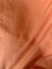 Hair on bed sheets