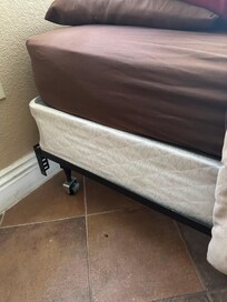 Roach by the bed