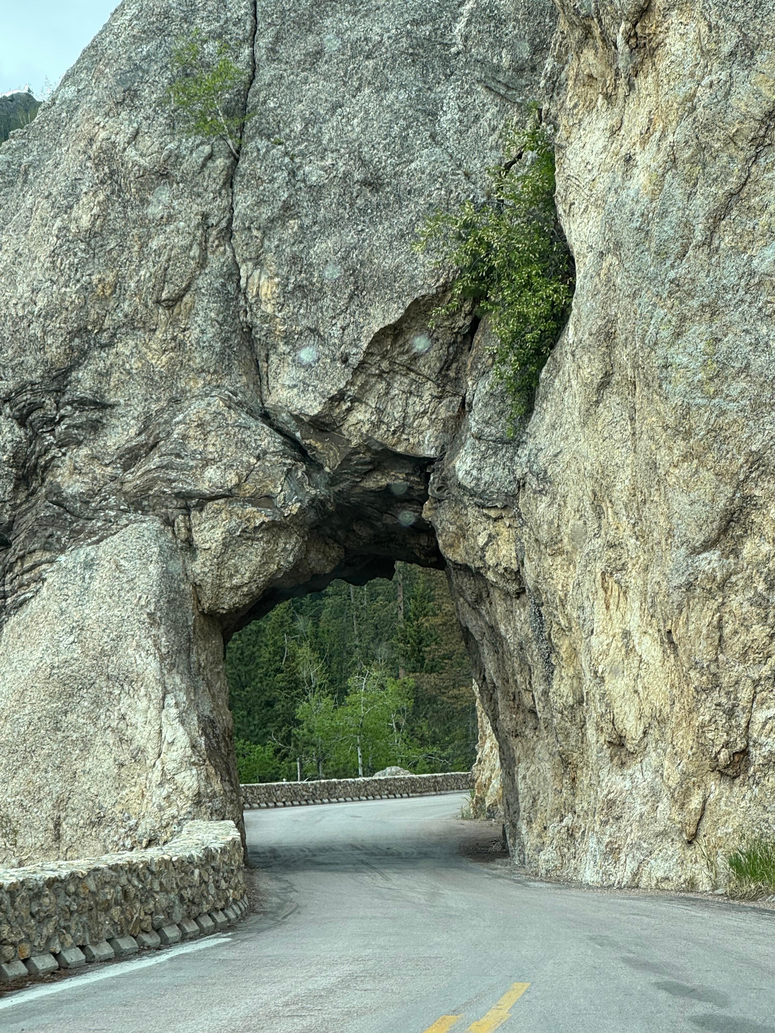 Needles Highway in Custer State Park 