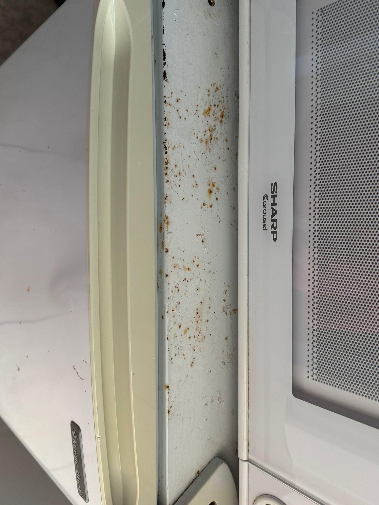 Rust on/in refrigerator