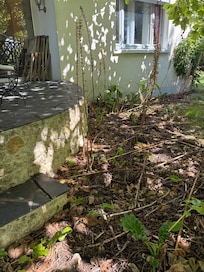 Extérieur non entretenu