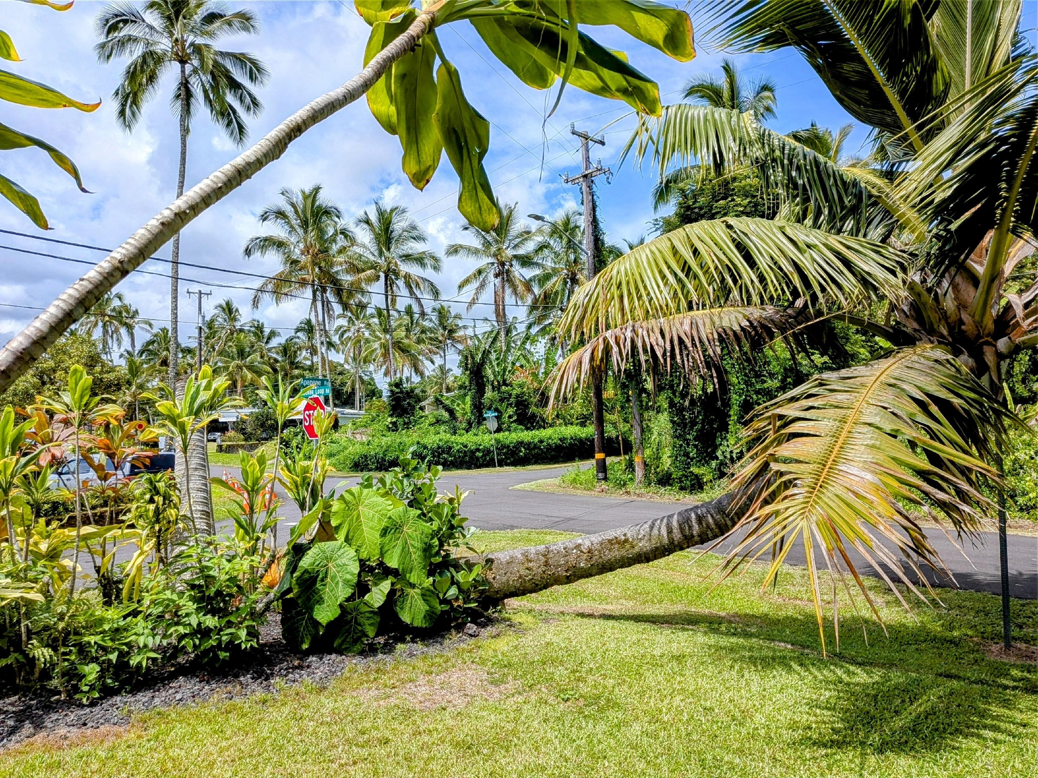 コテージから見える景色