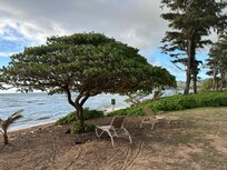 Beautiful walkway along the beach.
