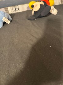 Debris covering "clean" top bunk comforter.