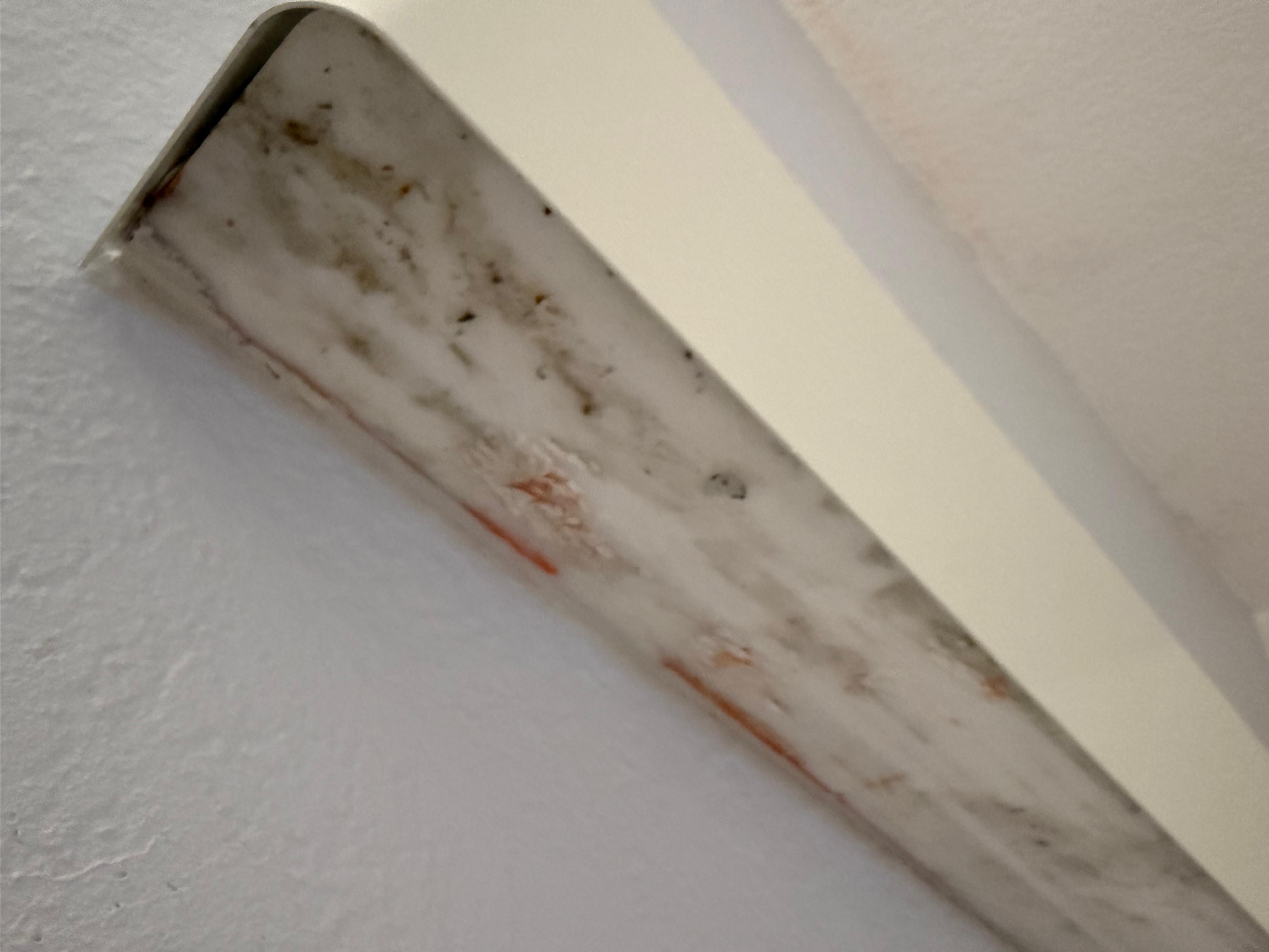 Todo es una porquería 