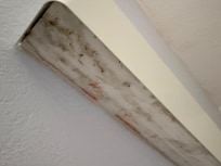 Todo es una porquería