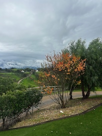 Rainy day- still beautiful!