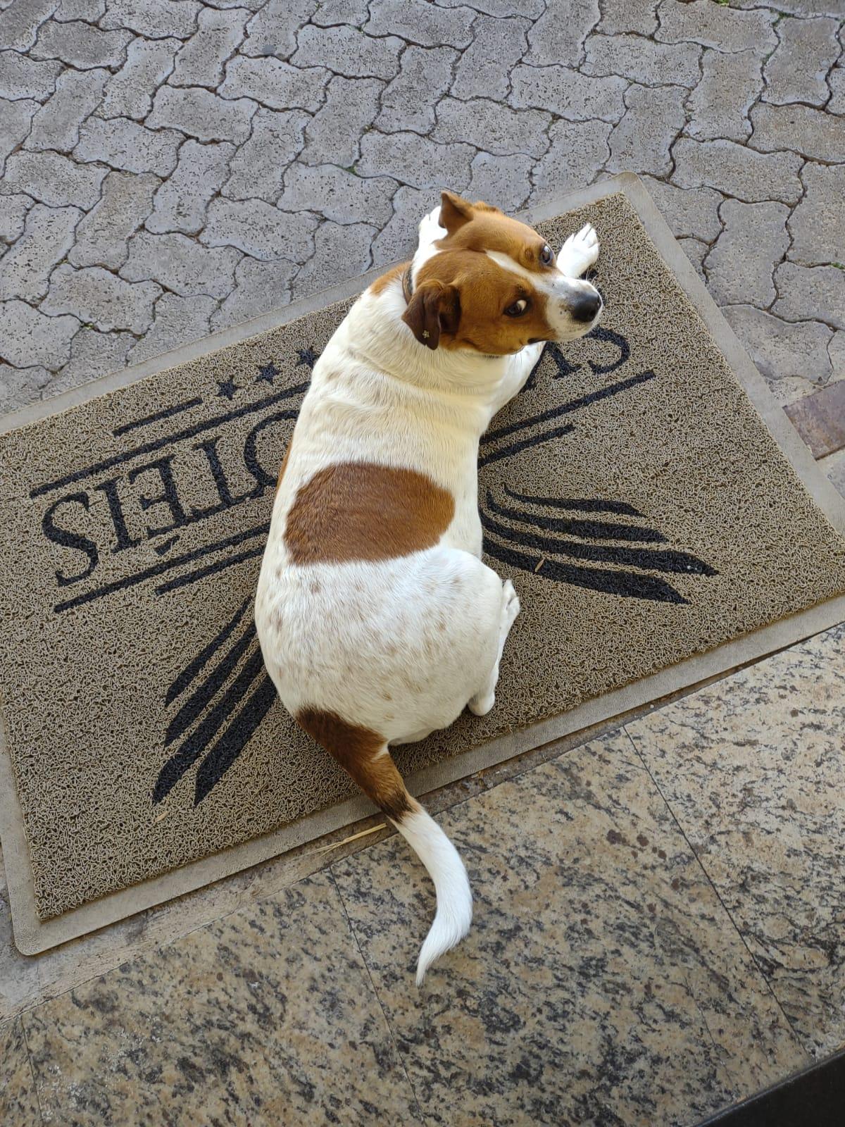 uma bela recepcao....
