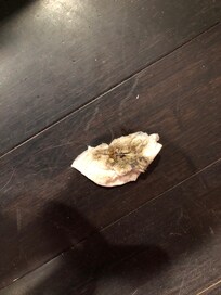 More wiping of floor