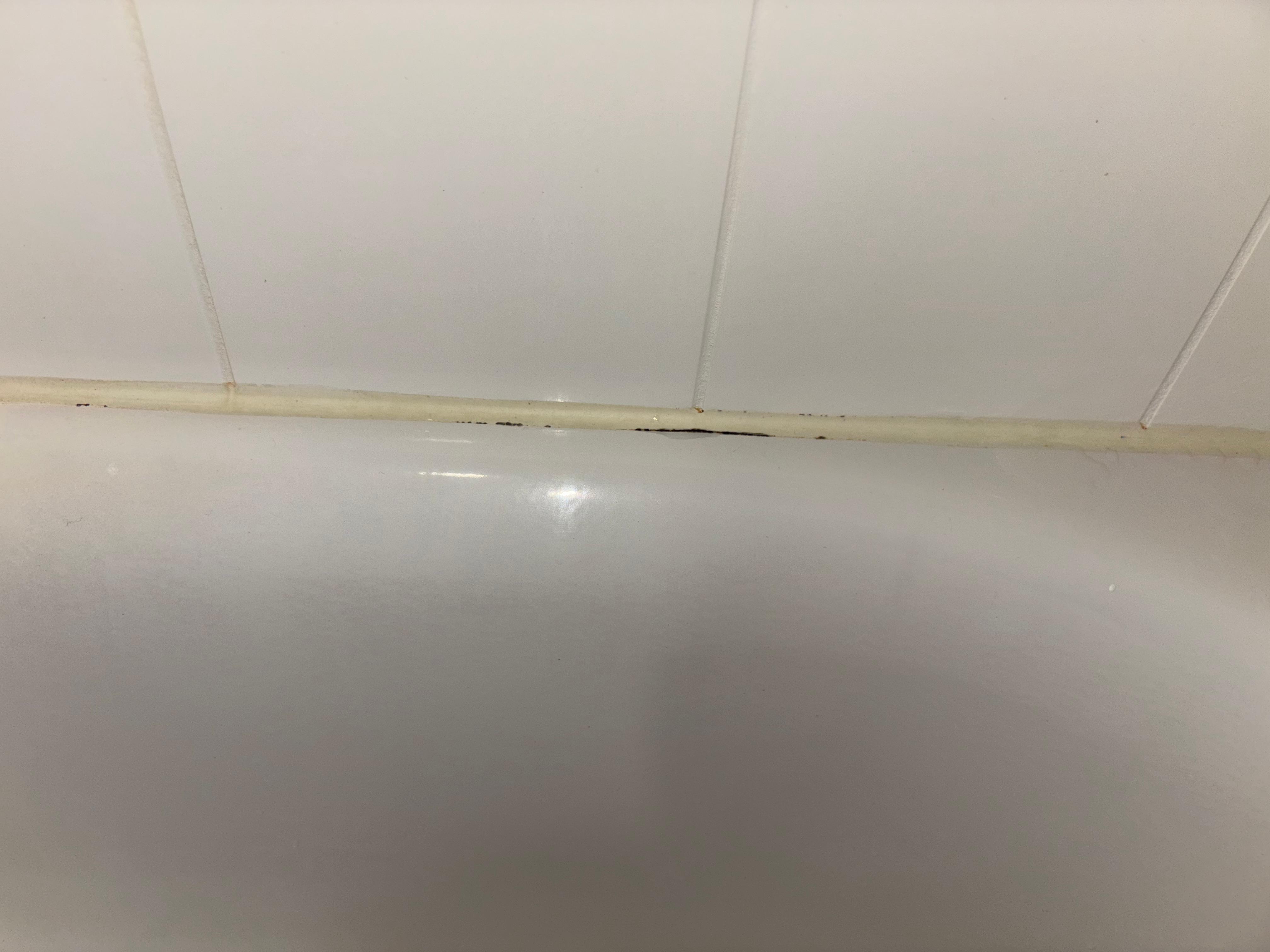 Mold in tub