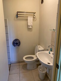 The bathroom