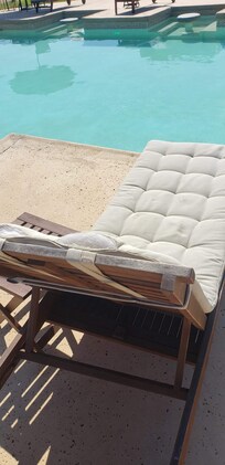 All the pool cushions need to be replaced.