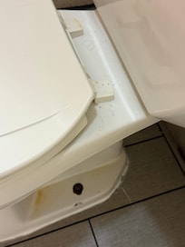 Nasty toilet