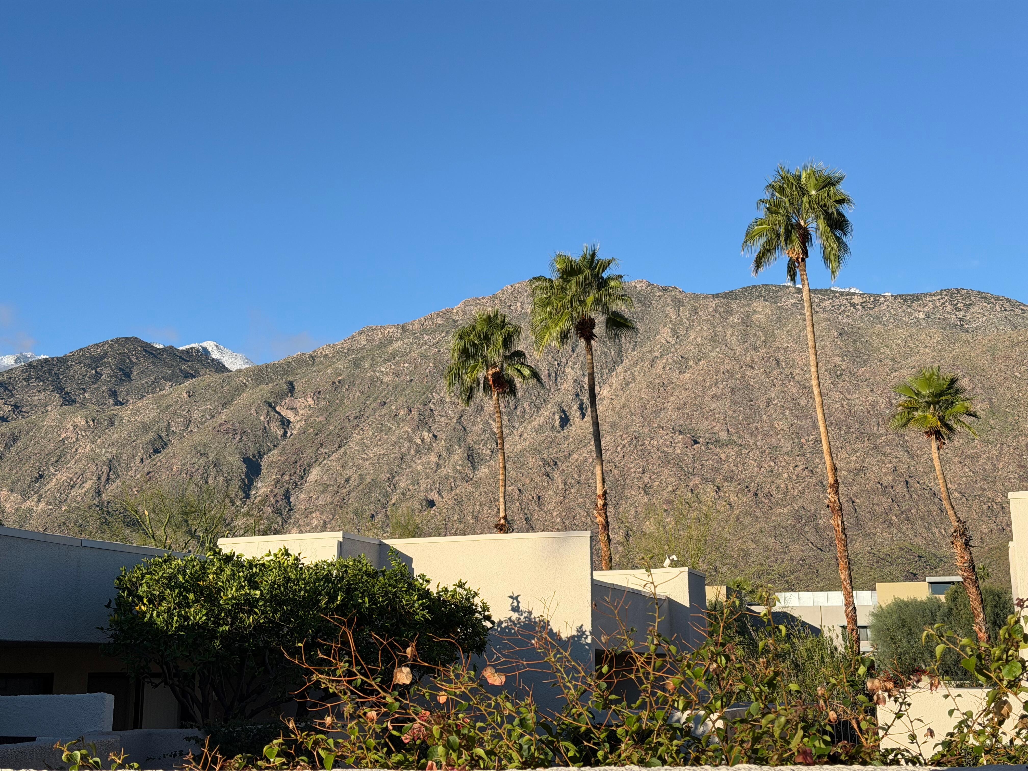 View from back porch during the day