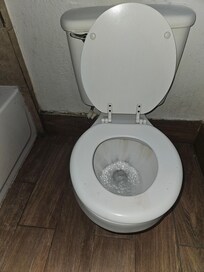 The dirt and nastiness of the toilet