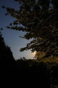 I guess my only house picture was the full moon. 😁