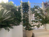 Our room loggia
