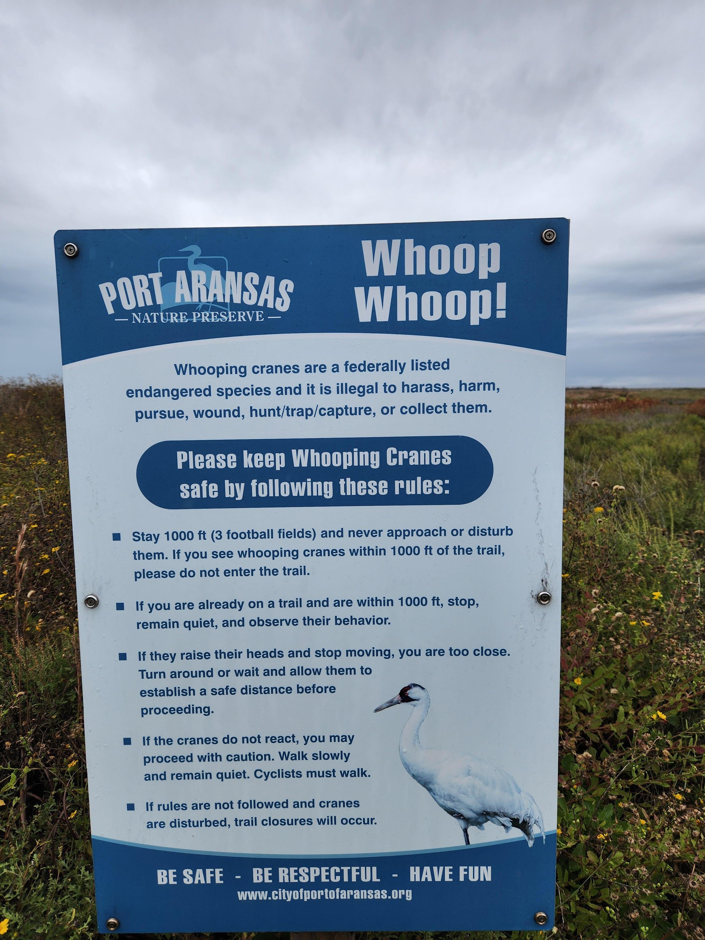 Another great hiking and birding