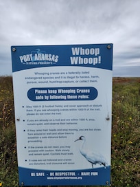 Another great hiking and birding