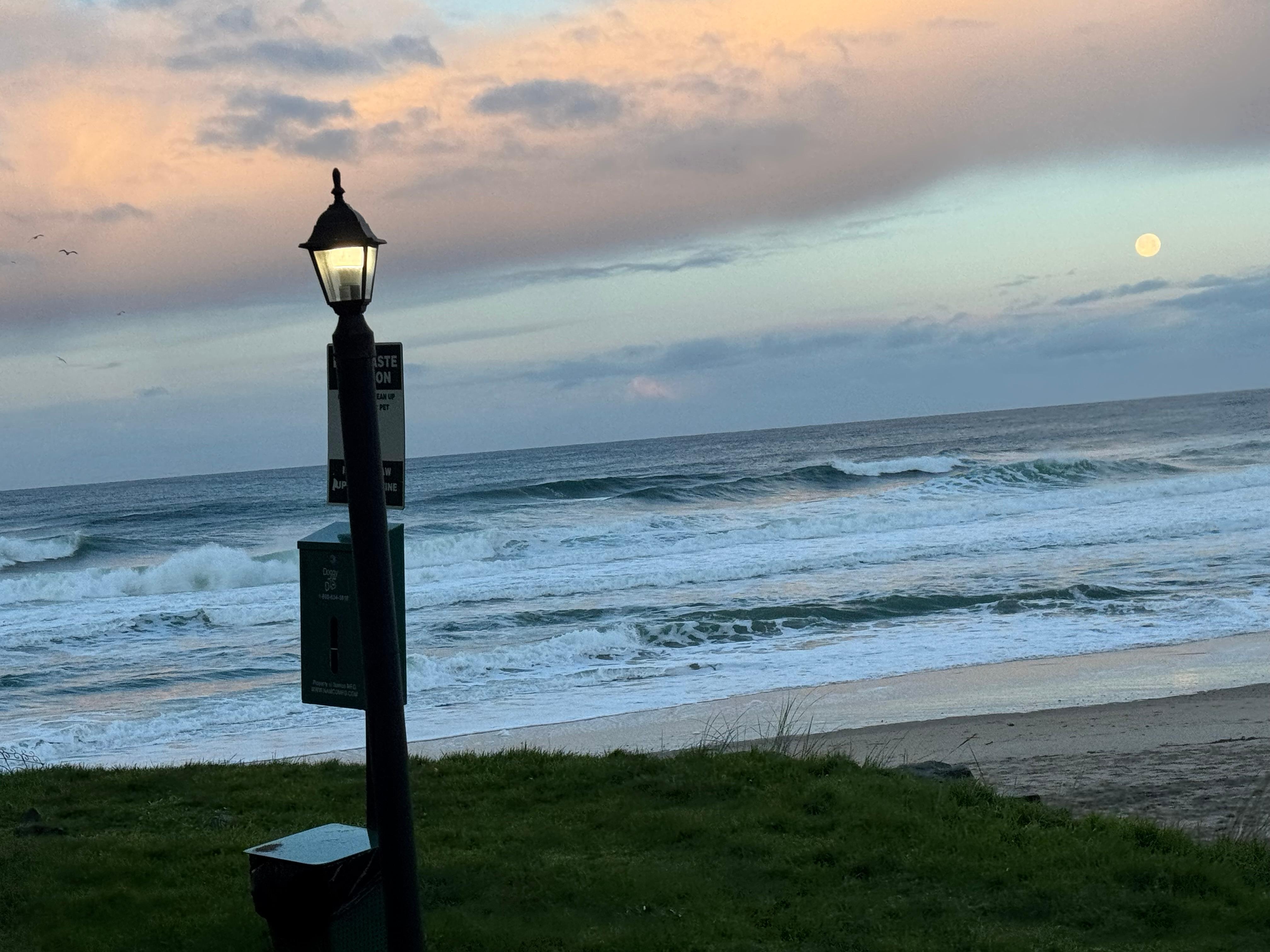 Wolf Full Moon setting into the Pacific with my morning coffee!