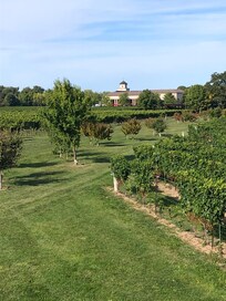 Two sisters winery in back yard