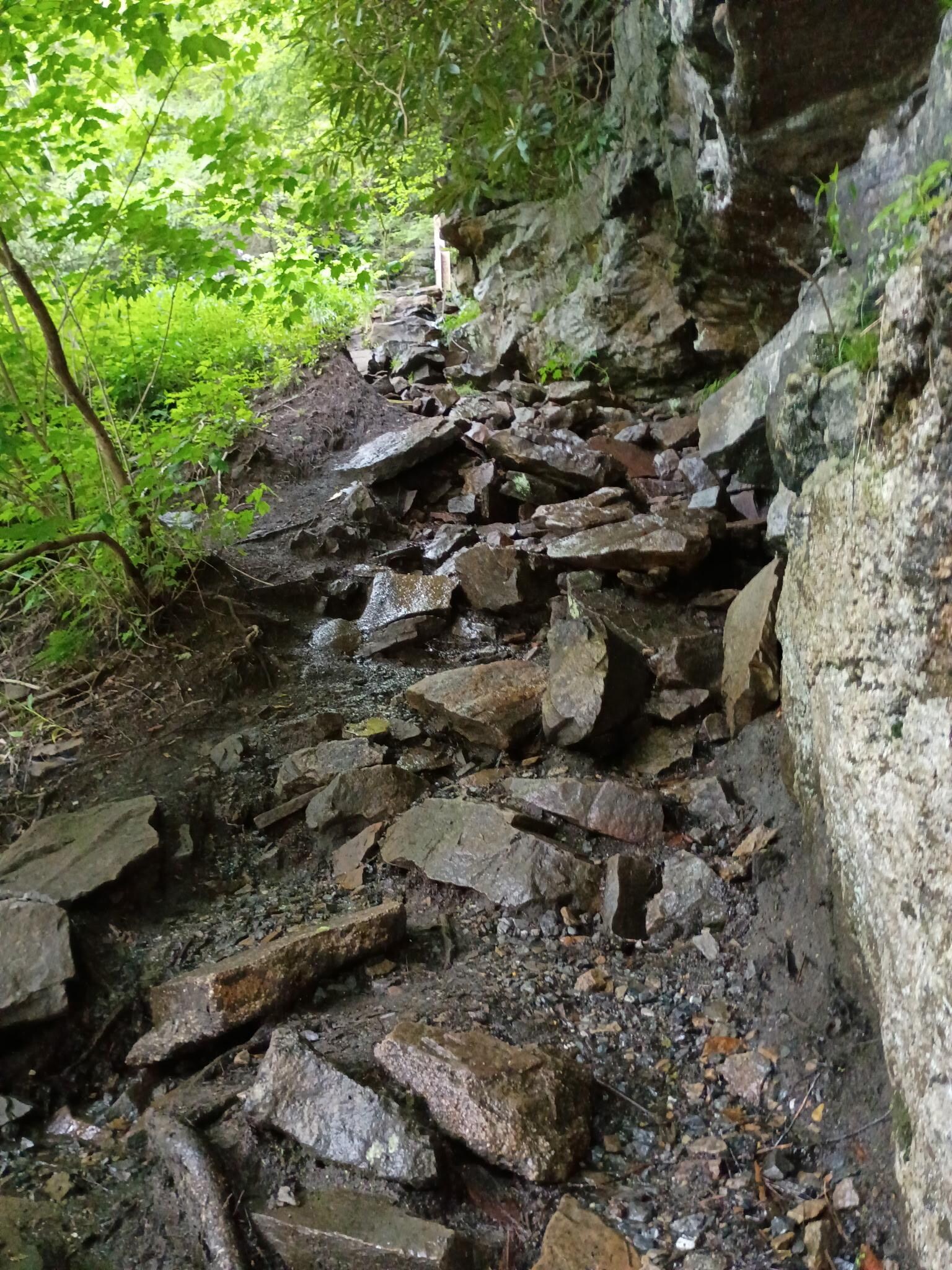 Trail to douglas falls. Funclimb