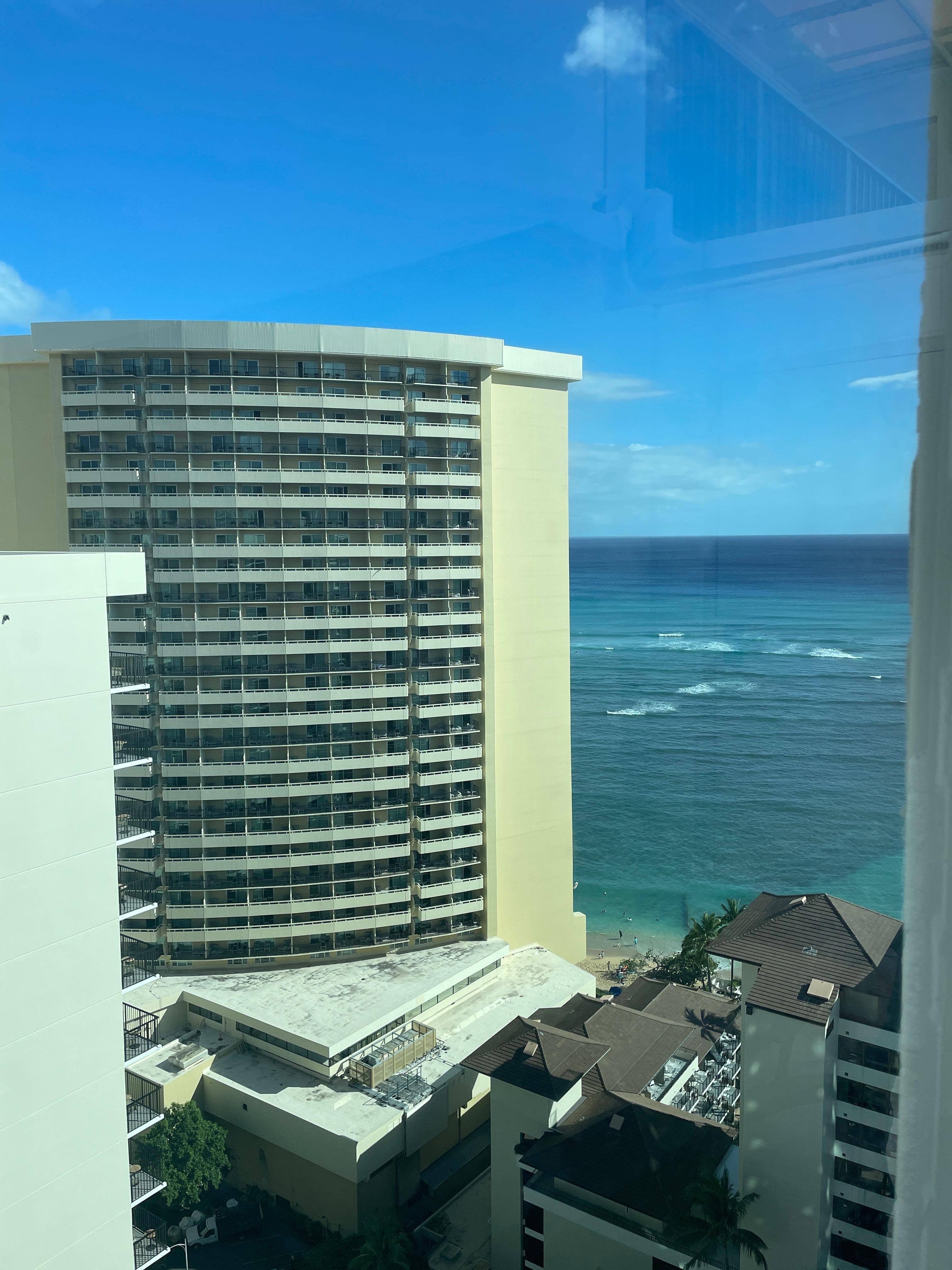 View from our Palm room