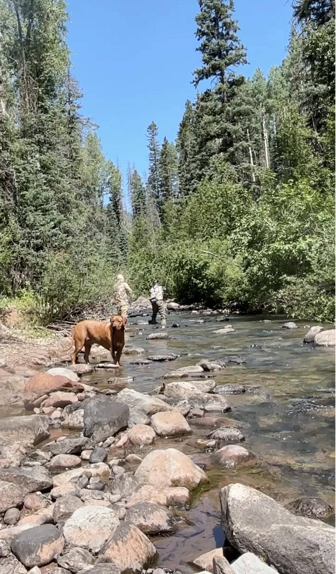 fishing nearby - amazing fishing!
