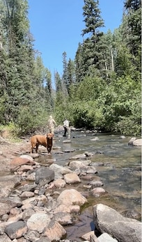 fishing nearby - amazing fishing!