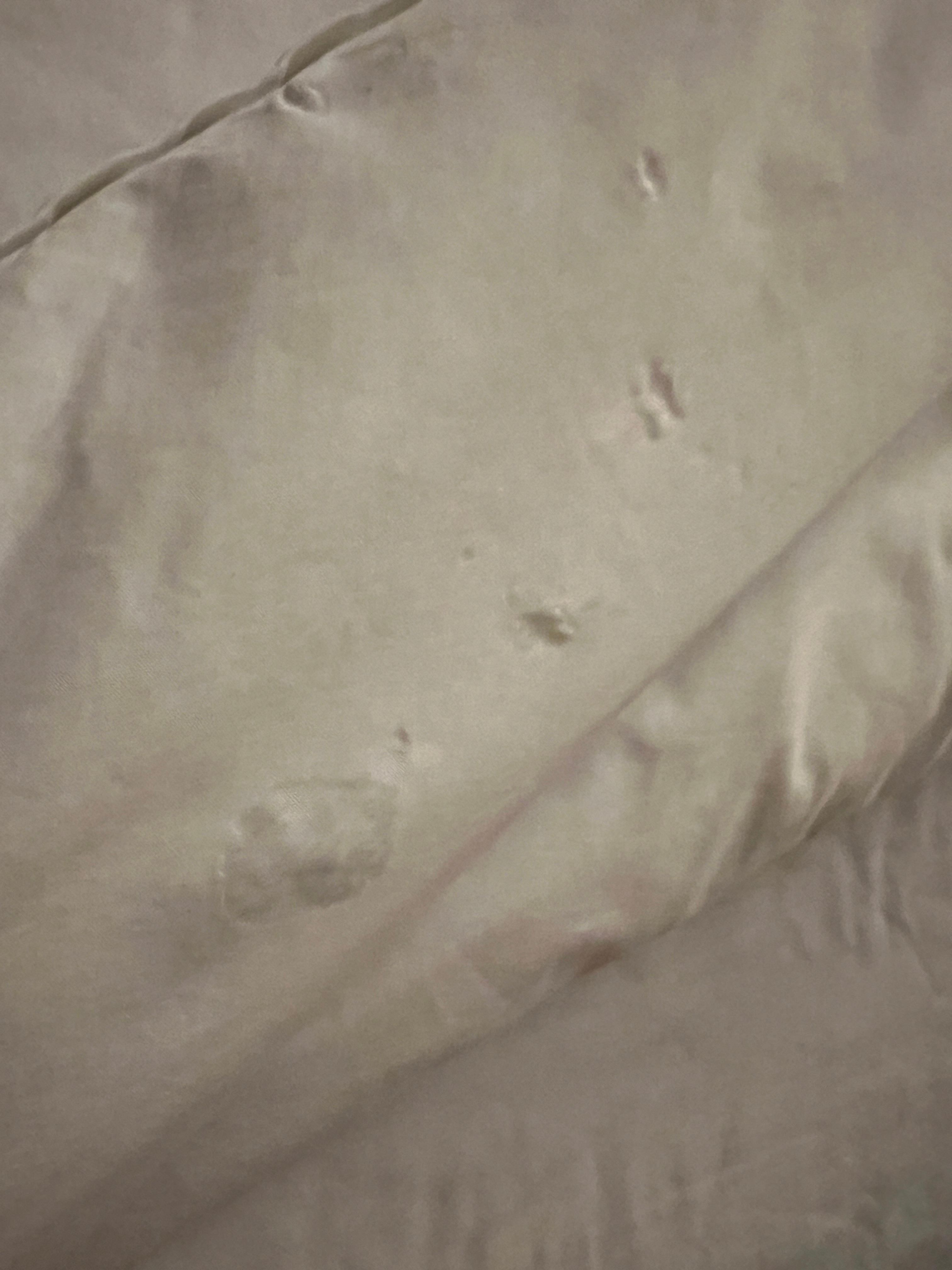 White stains on the blankets