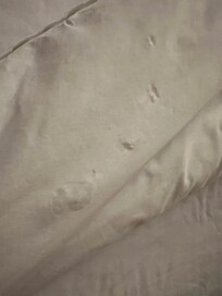 White stains on the blankets