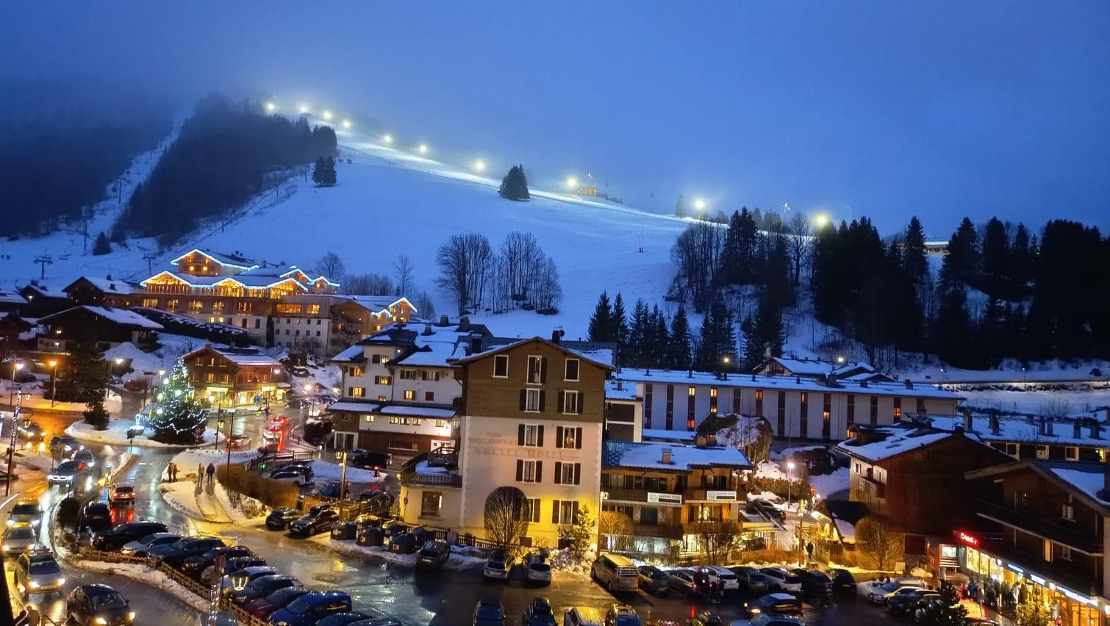 Vue depuis le chalet 