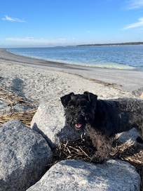 Sea Pines South beach